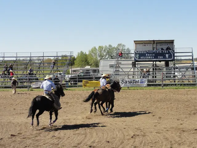 Moose Mountain Pro Rodeo arena