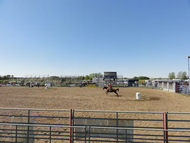 Barrel racing at the rodeo grounds