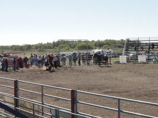 Rodeo arena with calf roping