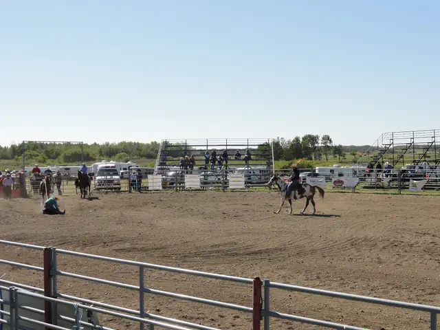 Rodeo arena with horse and rider