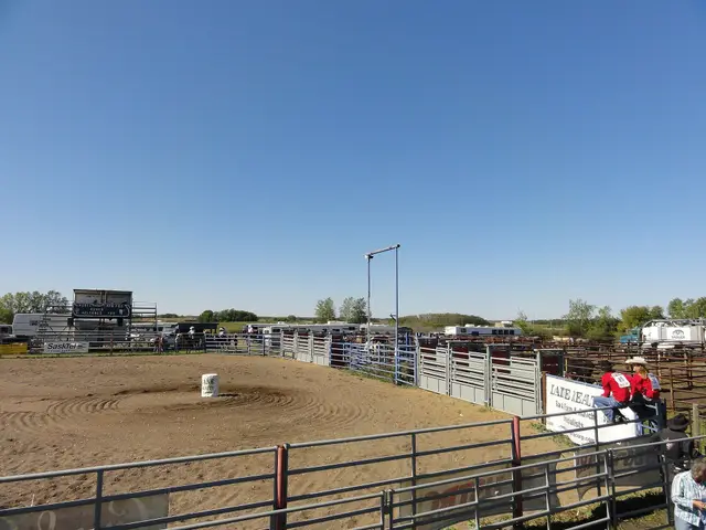 Rodeo arena with barrel and chutes